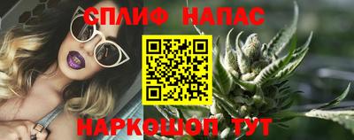 гашик Заводоуковск