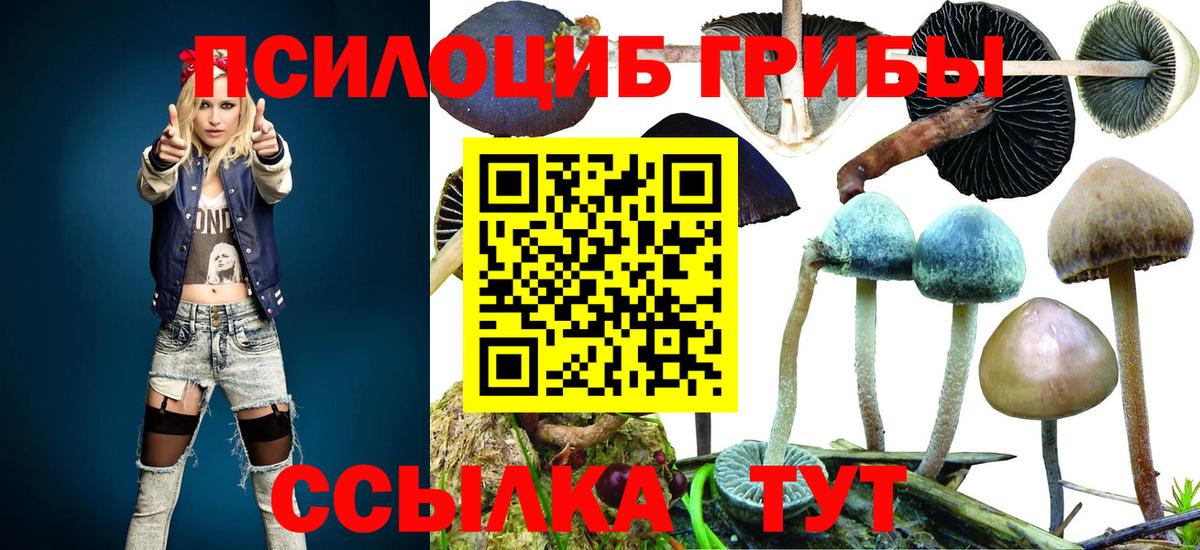 Галлюциногенные грибы мицелий  Вход с VPN  Майский  Псилоцибиновые грибы MAGIC MUSHROOMS 